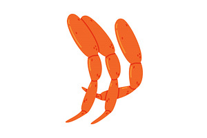 Crab Legs as Crustacean Seafood and, a Food Illustration by TopVectors