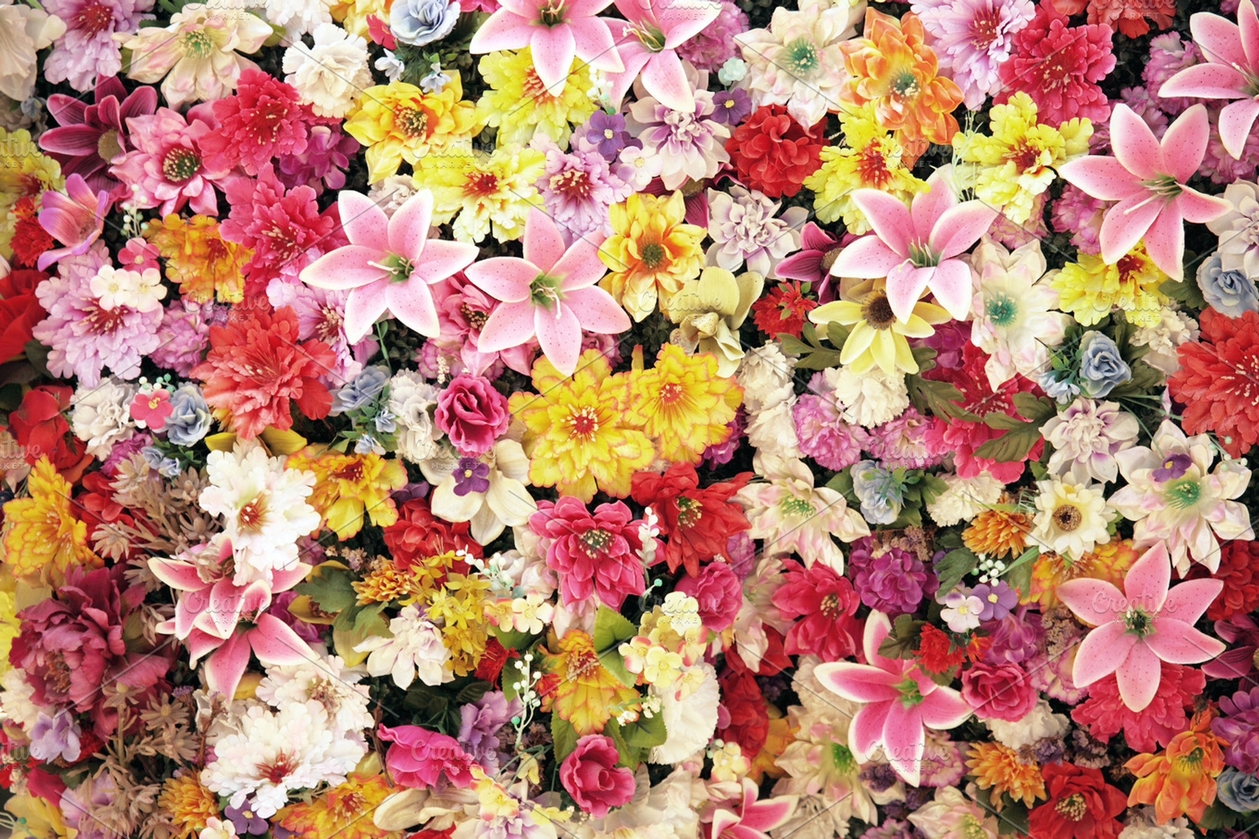 Flowers featuring background, blooming, and natural, a Nature Photo by De todo un poco