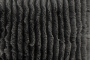 Collection of 38 fur pillows, an Object 3D Model by 3dmitruk (Thumbnail 79 of 112)