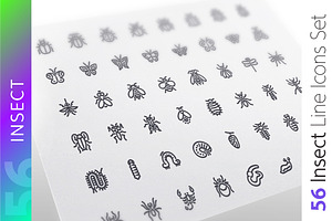 Insect Line Icons Set