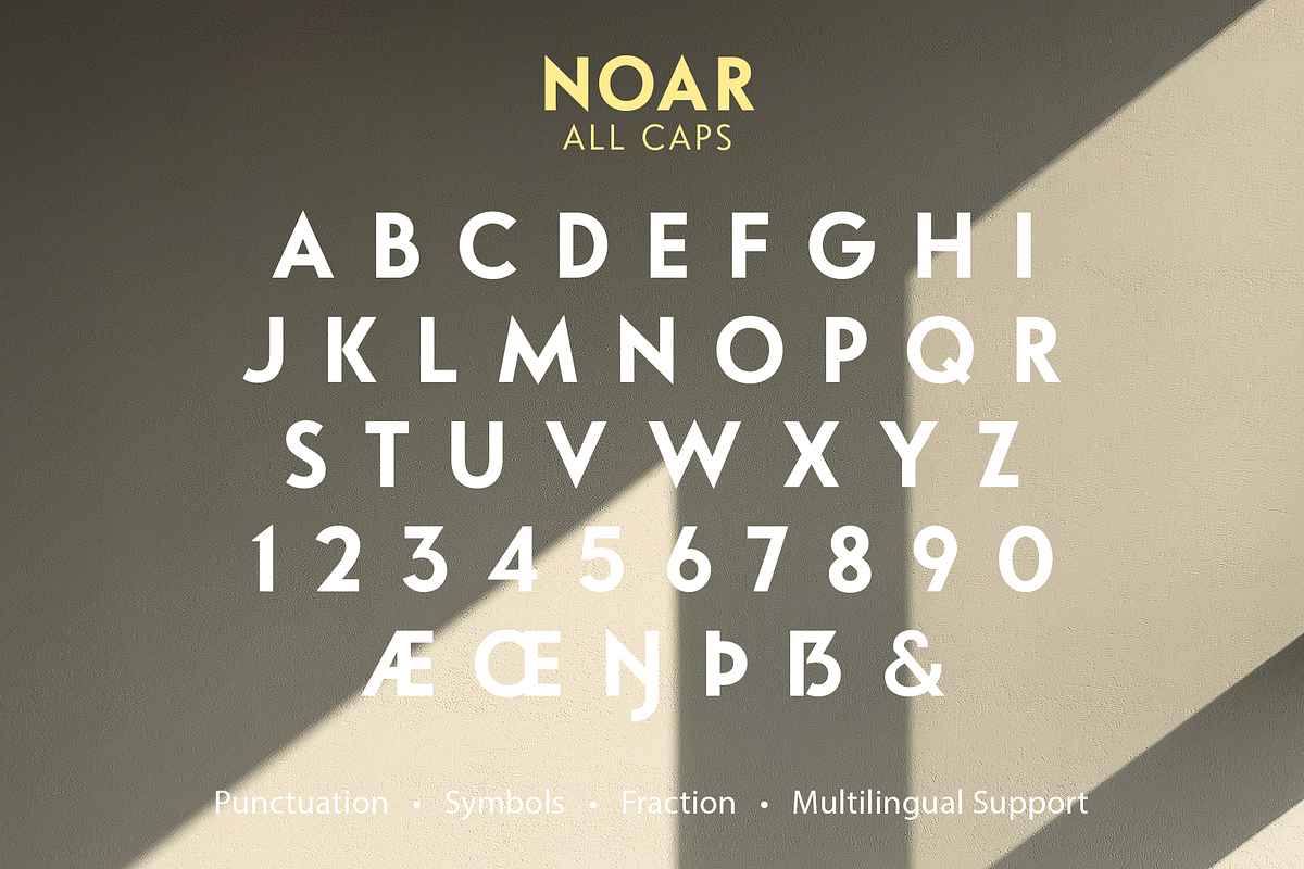 Noar | Font Family, a Sans Serif Font by Larin Type Co. (Photo 14 of 15)