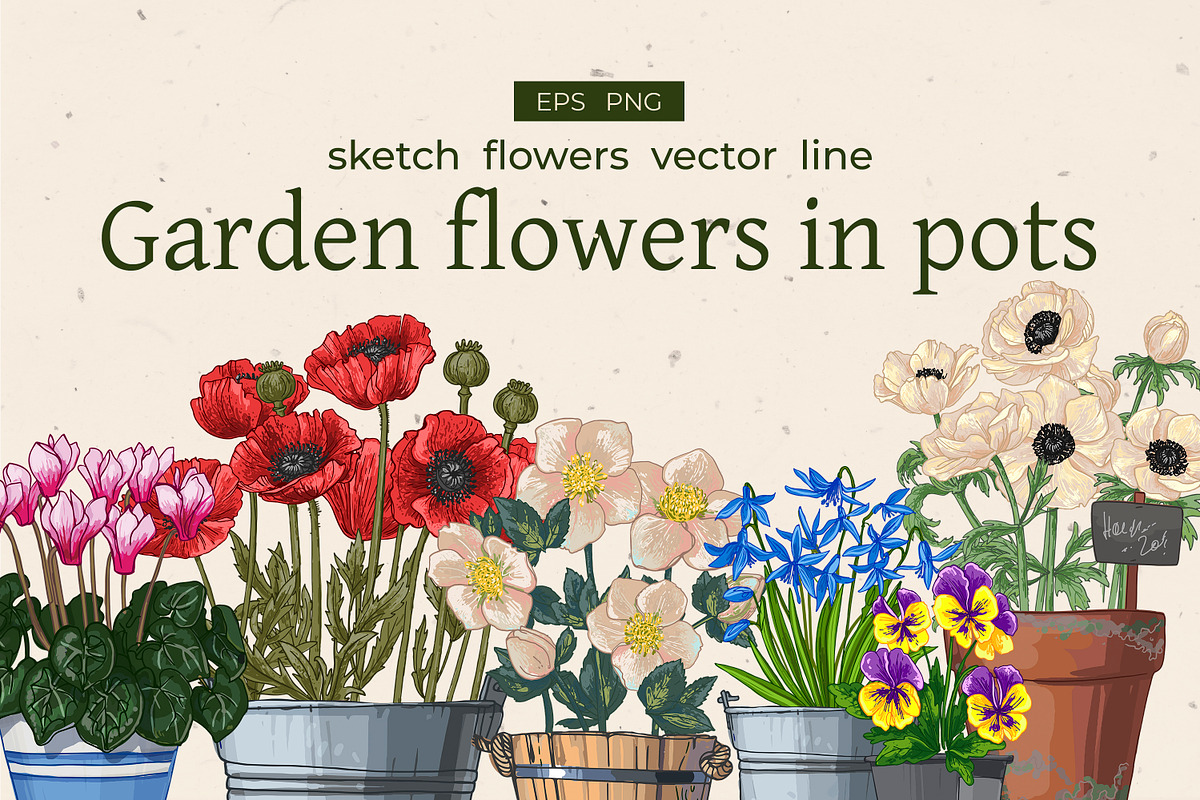 Garden flowers in pots. Vector, an Object Illustration by irina.vaneeva (Photo 1 of 7)