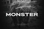 Knockout - Extended Font Family, a Sans Serif Font by Sensatype (Thumbnail 11 of 25)