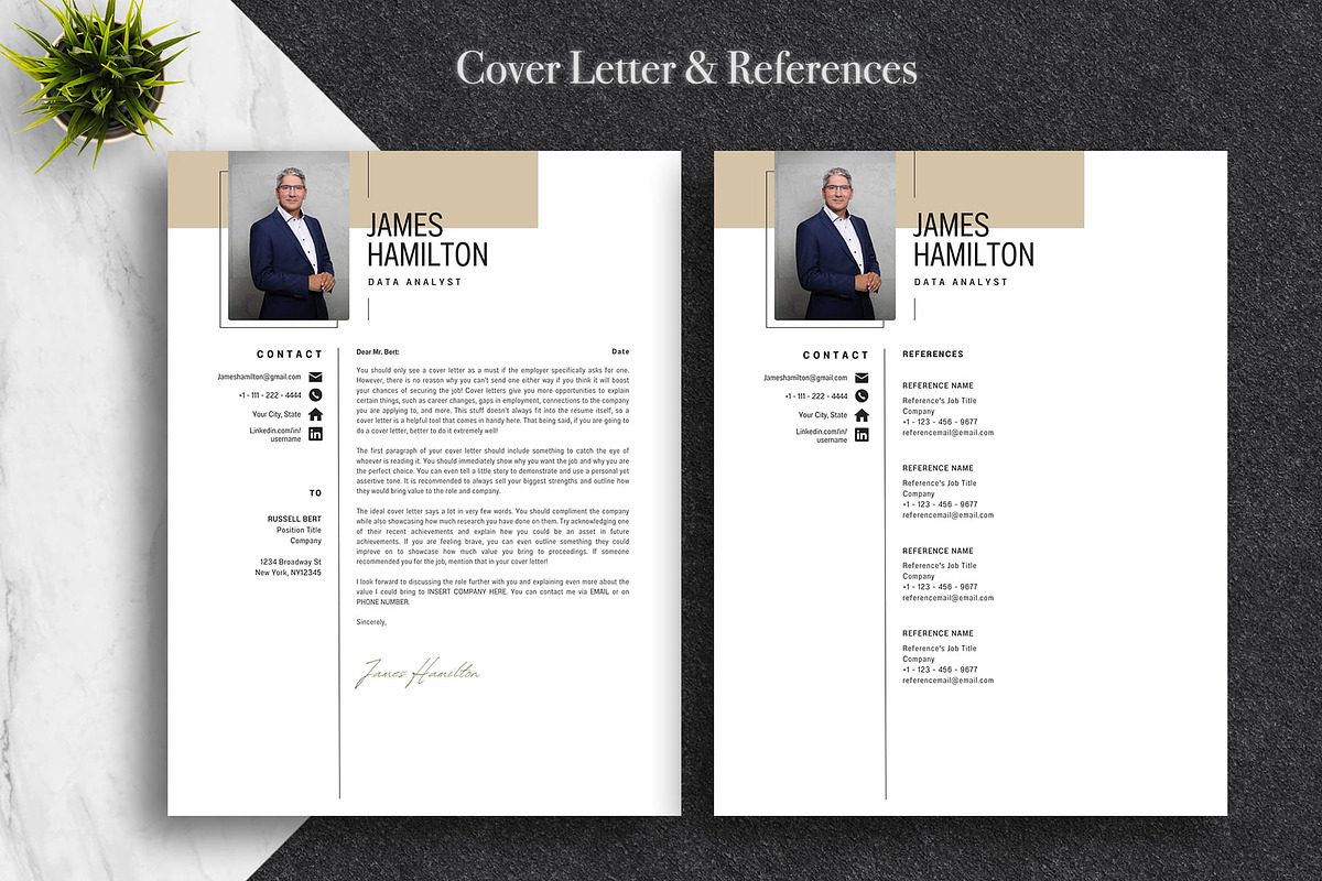Clean Canva CV Template Pack | Canva, a Resume Template by Lux Resume (Photo 4 of 8)