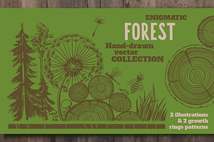 Forest And Growth Rings Decorations