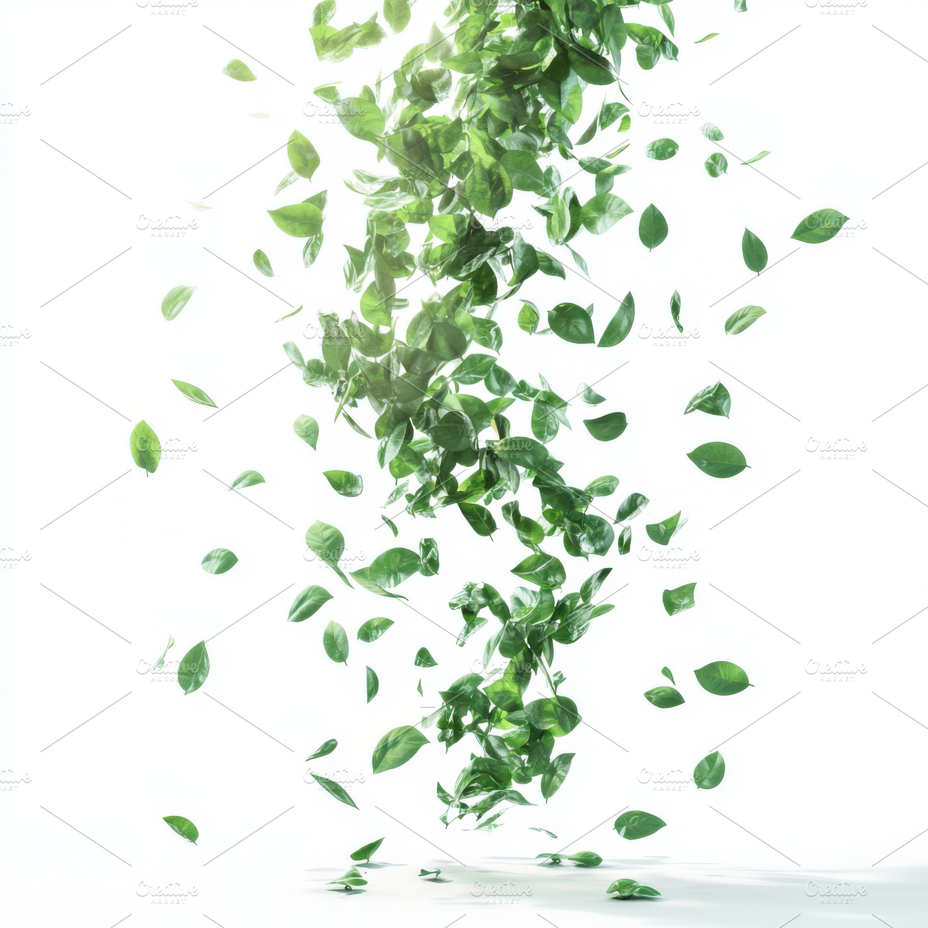 Green leaves falling softly on white, a Food & Drink Photo by Pixeness Studio