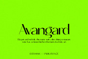 Pagoda - Modern Sans Serif, a Sans Serif Font by subkulturetype (Thumbnail 6 of 8)