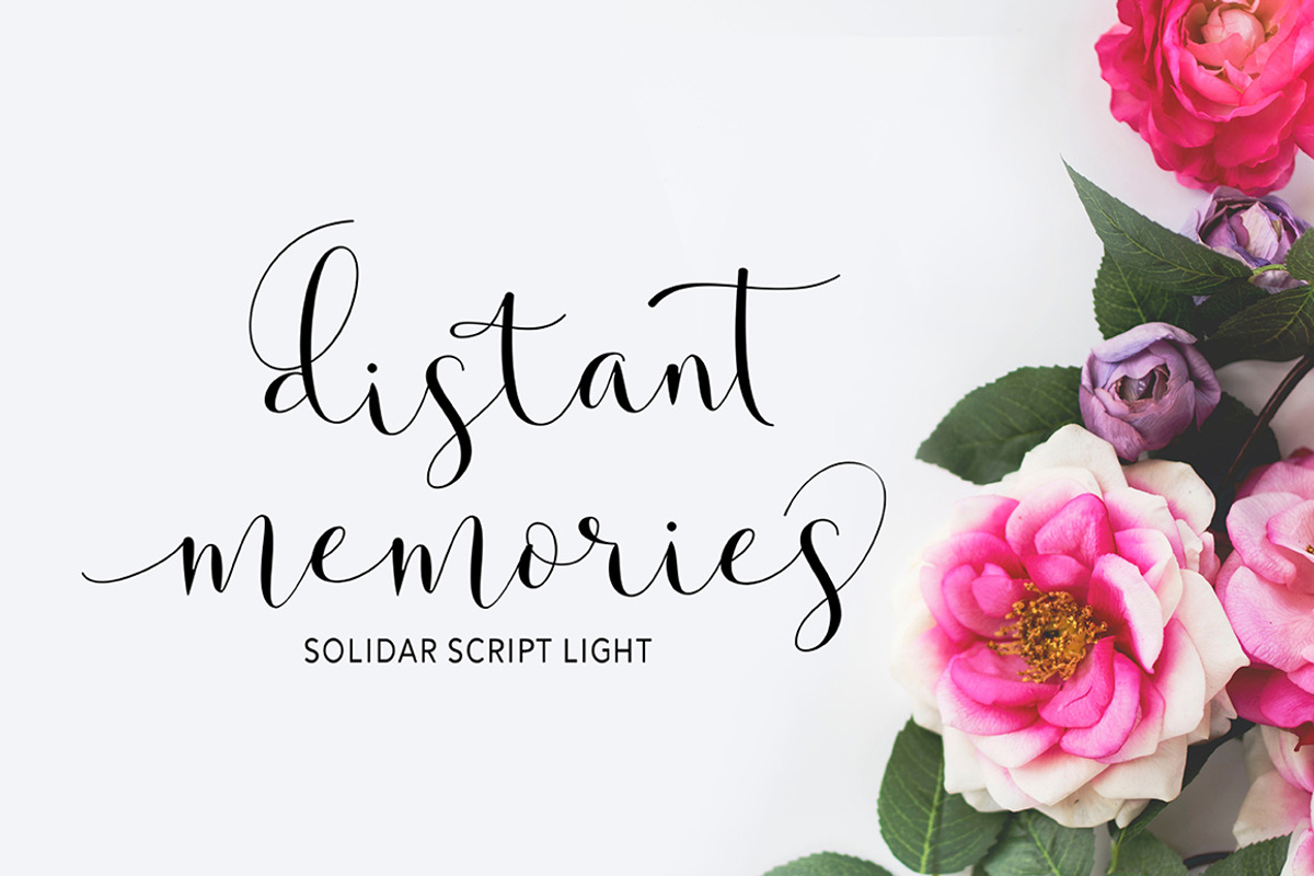 Solidar Font Family, a Script Font by Solidtype