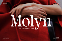 Molyn Modern Serif Font