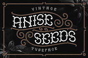 Vintage Fonts Bundle. 83% OFF!, a Symbol Font by Gleb Guralnyk (Thumbnail 6 of 13)