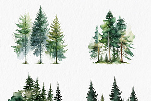 Spring Forest Watercolor Clipart PNG