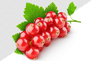 Red currants, an Object Graphic by Fruits+Veggies (Thumbnail 2 of 4)