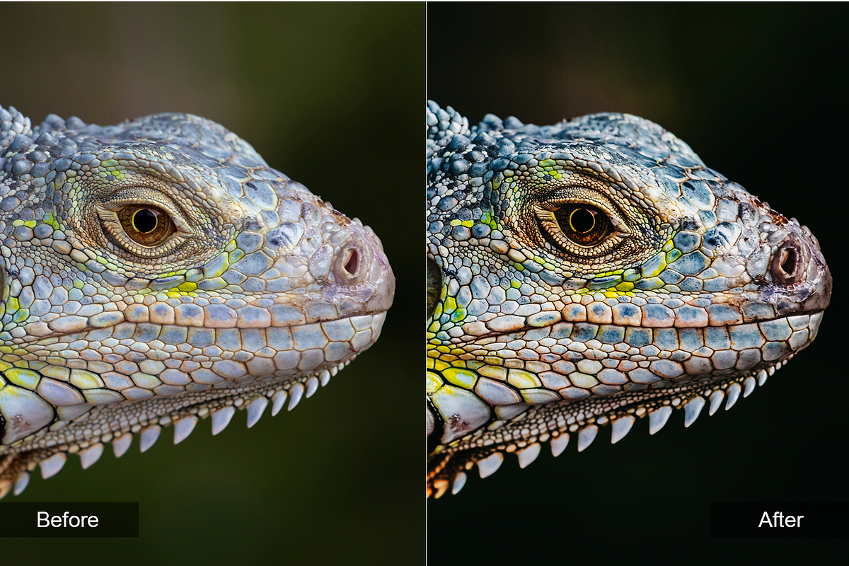 Travel Preset Pack, a Preset Add-On by MadeRed (Photo 15 of 16)