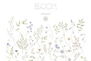 BLOOM Watercolor floral collection, a Decorative Illustration by Kreker Kate (Thumbnail 9 of 9)