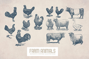 55 Vintage Farm Animals