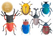 Handpainted Insect Clipart Set, an Illustration by The Dutch Lady Designs (Thumbnail 3 of 6)