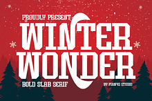 Winter Wonder - Bold Slab Serif