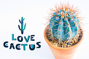 Illustrations with Cacti, an Illustration by Alyonka_lis (Thumbnail 3 of 9)