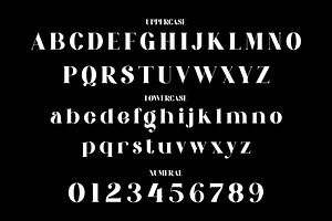 Bralien Modern Ligature Serif