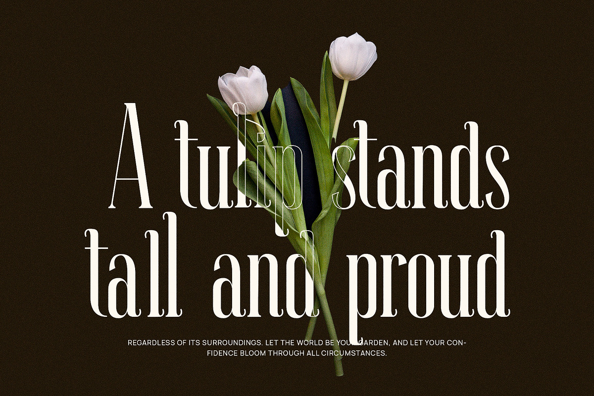 Wagilin Elegant  Serif Font Typeface, a Serif Font by Perfectype (Photo 3 of 7)