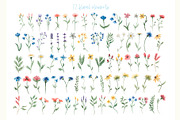 Watercolor Wildflowers Collection, a Decorative Illustration by MayaNavits (Thumbnail 3 of 14)