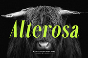Alterosa - Italic serif font, a Serif Font by Almeera Std (Thumbnail 1 of 6)