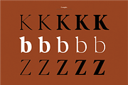 Newburgh Family, a Serif Font by Maison Octave (Thumbnail 4 of 10)