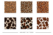 Realistic Animal Skin Textures, a Texture Graphic by karenfoleyphoto (Thumbnail 2 of 7)