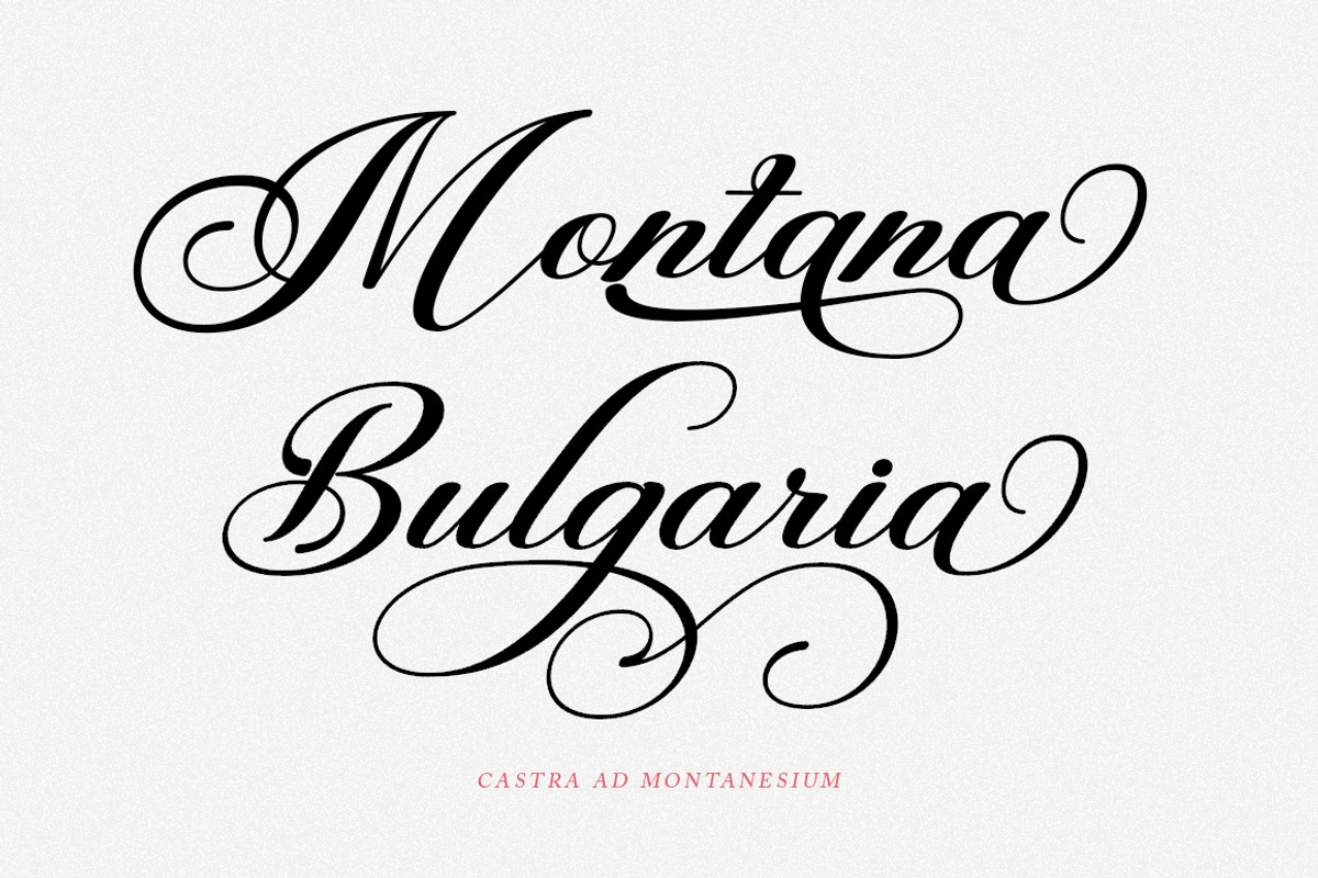 Bunglon Script, a Script Font by Has_rizal (Photo 5 of 13)