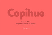Copihue, a Sans Serif Font by Letritas (Thumbnail 1 of 12)