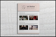 Transitional Two Pages Resume Pack, a Resume Template by SNIPESCIENTIST (Thumbnail 4 of 4)