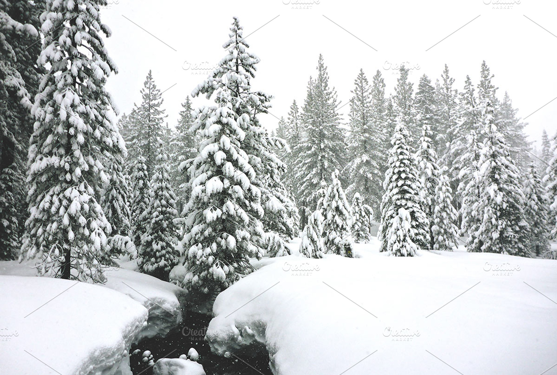 Snow flocked trees & icy river containing snow flocked, trees, and forest, a Nature Photo by Jared Manninen