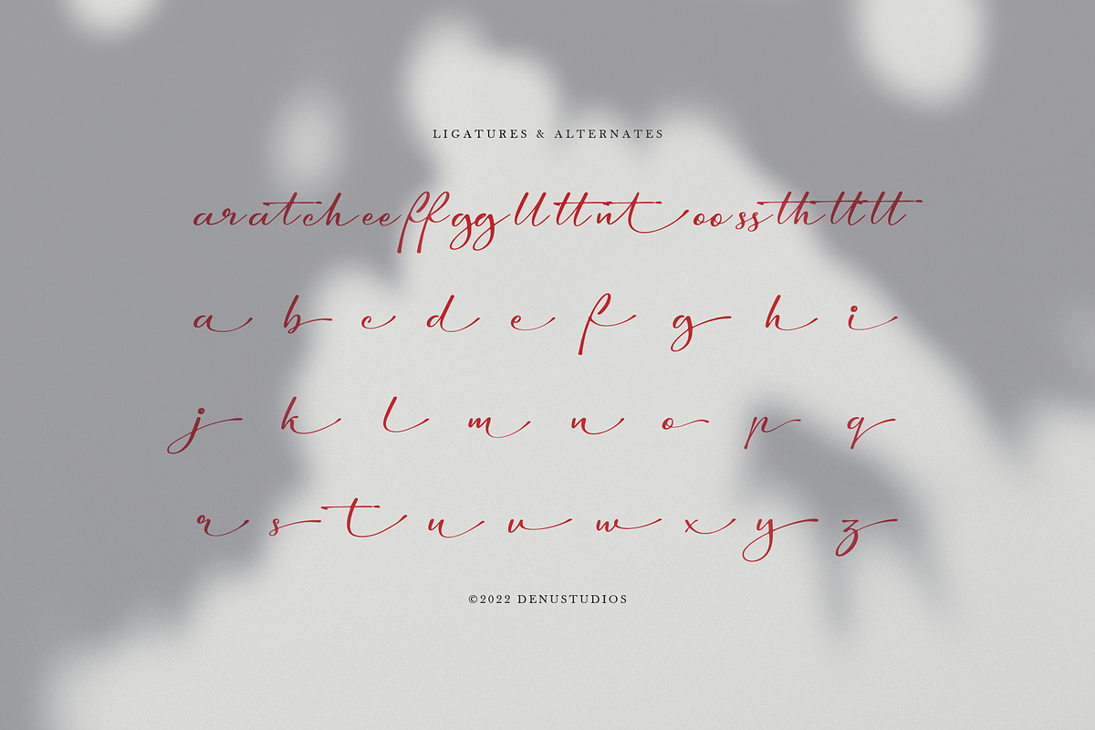 Amaterla Farmosa Casual Handwritten, a Script Font by Denustudios (Photo 6 of 8)