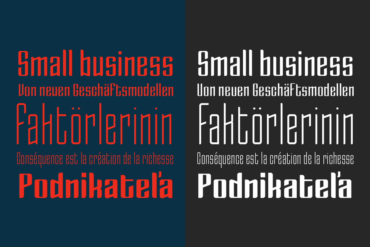 Enza Expanded Family - 80% OFF!, a Sans Serif Font by Neo Type Foundry (Photo 9 of 10)