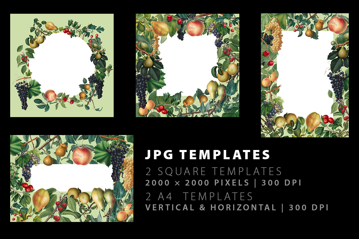 Fruit Illustrations pack 3, a Food Illustration by Padrinan (Photo 4 of 5)