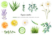 Watercolor organic cosmetic clipart, a Healthcare Illustration by Art and Funny (Thumbnail 2 of 14)