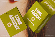 SLTF Tight Flight - Bold Funky Font, a Sans Serif Font by SilverStag Type Foundry (Thumbnail 13 of 19)