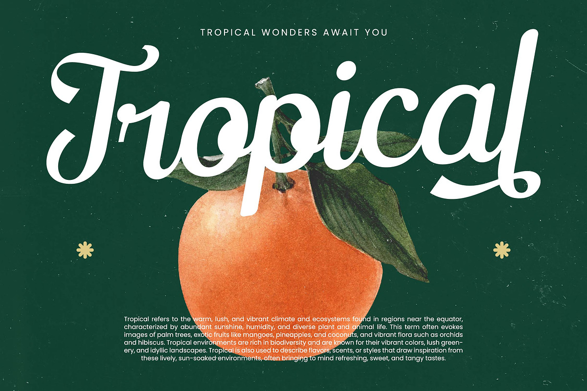 Tactical Smart Bold Modern Script, a Script Font by timelesstype.co (Photo 4 of 20)