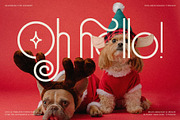 SLTF Holiday Whispers Typeface, a Sans Serif Font by SilverStag Type Foundry (Thumbnail 8 of 20)