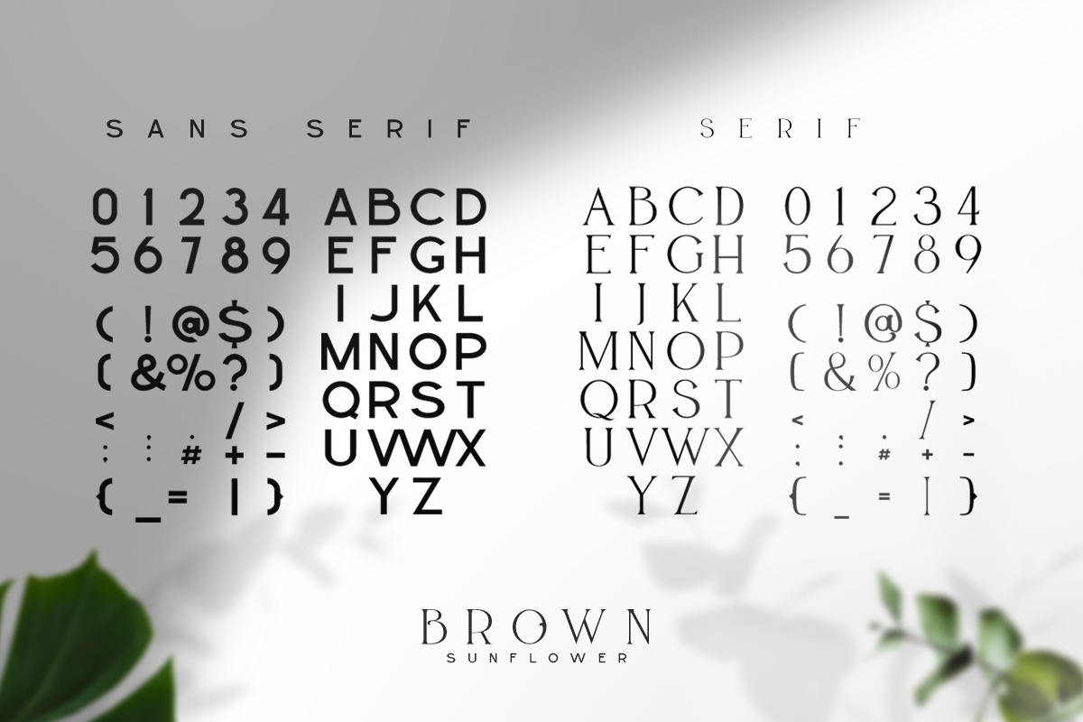 BROWN SUNFLOWER - FONT DUO, a Serif Font by din-studio.com (Photo 12 of 12)