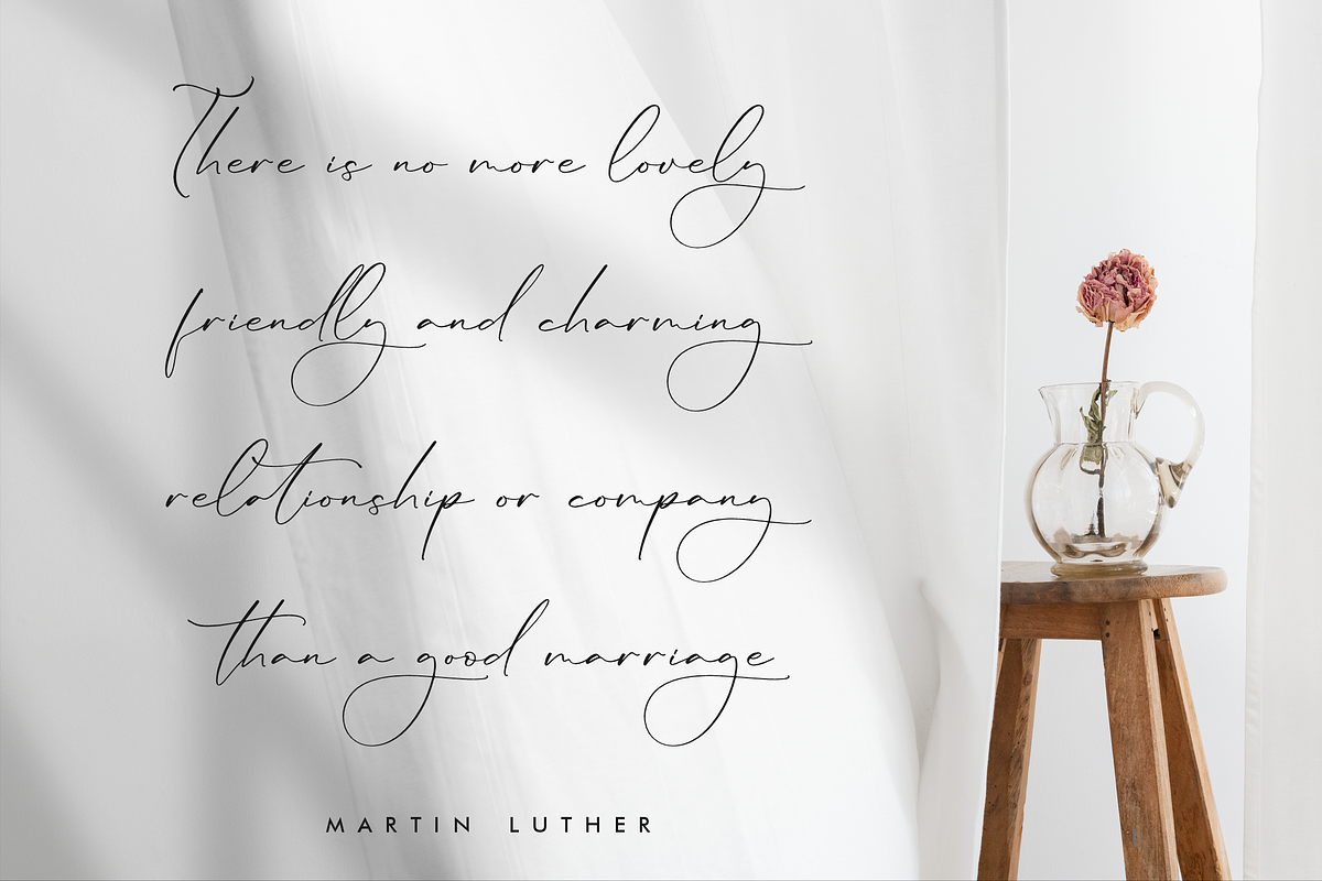 Lillywhite A Beautiful Script Font, a Script Font by Storytype Studio (Photo 6 of 15)