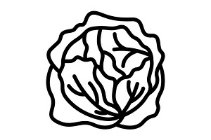 Cole cabbage black icon, an Outline Icon by Creative priyanka