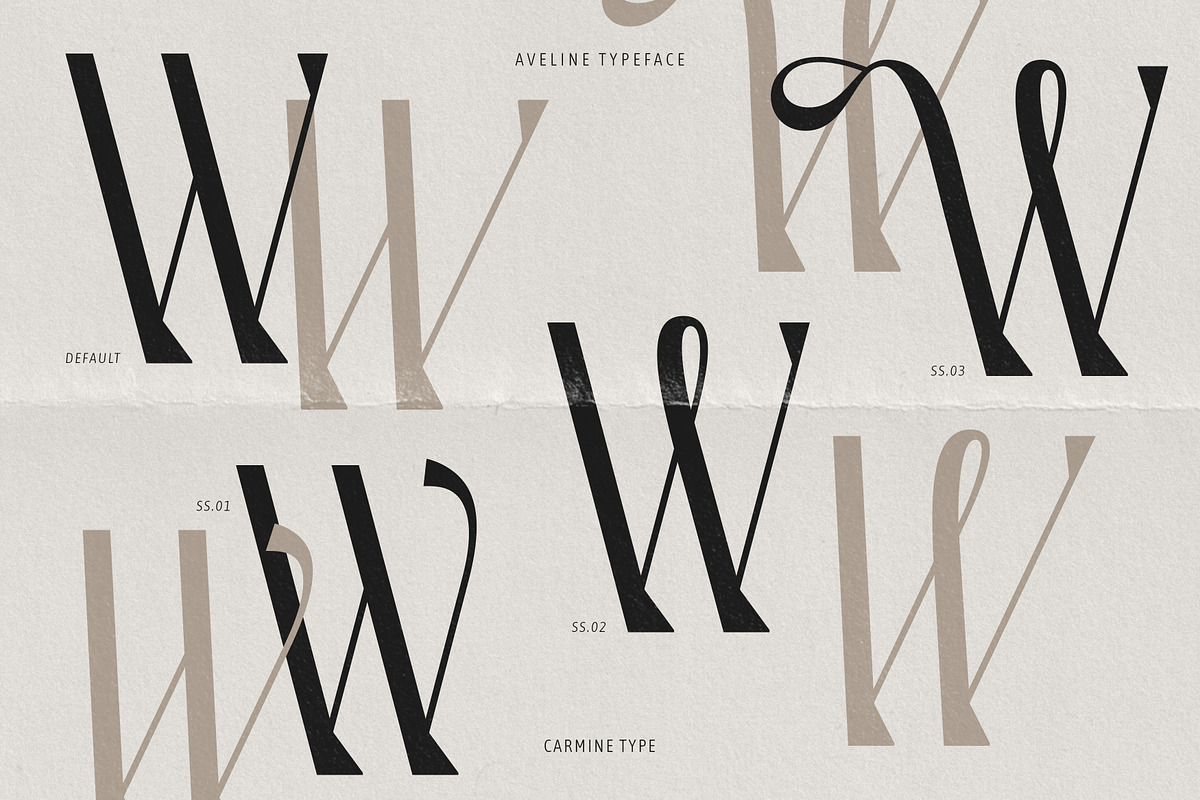 Aveline, Soft Serif with Ligatures, a Serif Font by CarmineType (Photo 19 of 28)