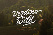 Verdons Wild - Vintage Brush Script, a Script Font by Bale Type (Thumbnail 1 of 10)