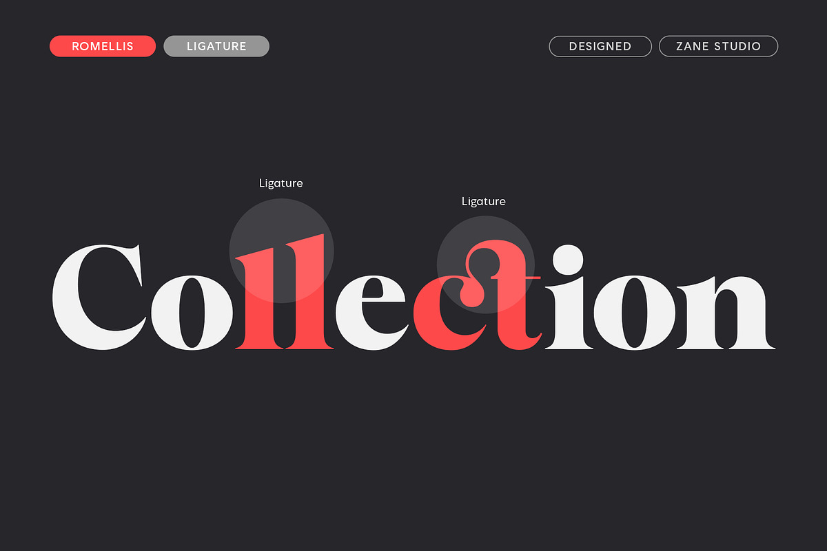 Romellis – Editorial Serif Typeface, a Serif Font by Zane Studio (Photo 7 of 15)