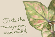 Monterey | Handwritten Script Font, a Handwritten Font by Monterey Studio (Thumbnail 11 of 15)