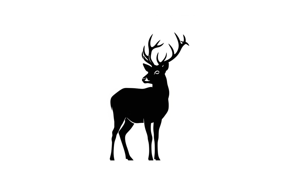 Wildlife Forest Silhouette Vector Bu, an Illustration by Designs_River (Photo 32 of 51)