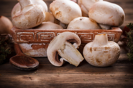 Fresh Brown Champignons preview 6