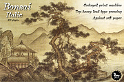 Bonsai Italic, a Font by Three Islands Press (Thumbnail 1 of 5)