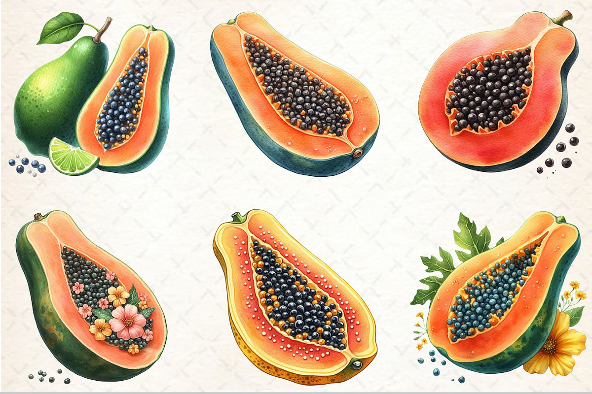 Watercolor Papaya Fruit Clipart, an Illustration by Rose Art (Photo 3 of 7)